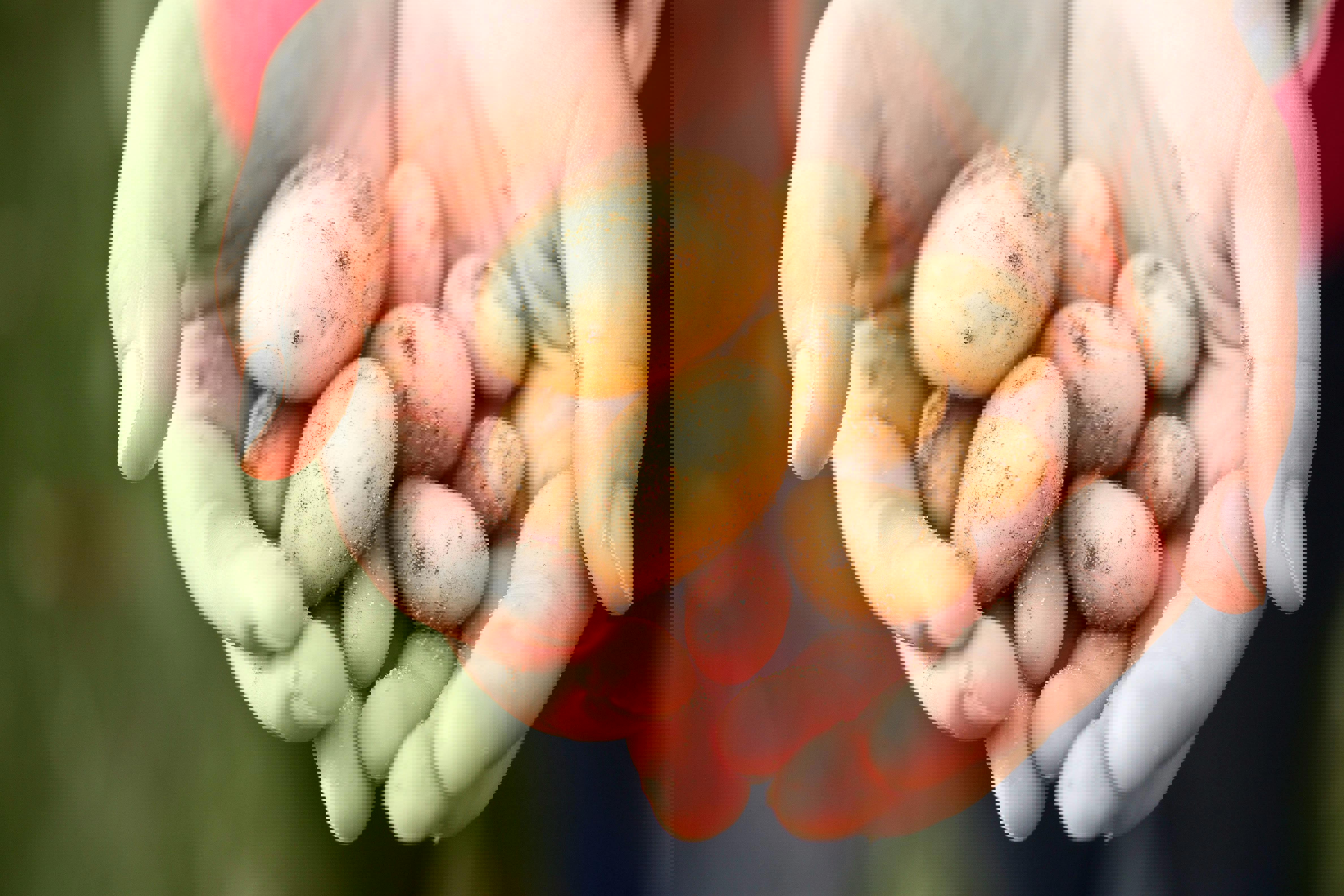 Pexels R Khalil 250162 775707